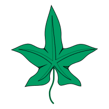 BSS guidon